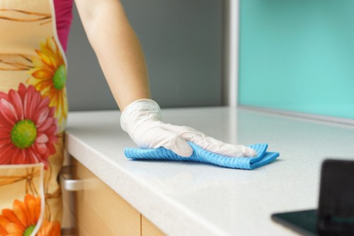 Reliable cleaner in E1 delivering detailed cleaning services
