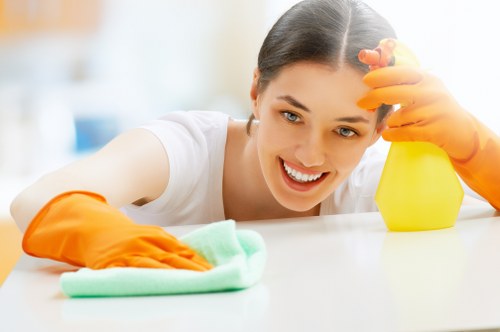 Professional upholstery cleaning for a sofa in E1
