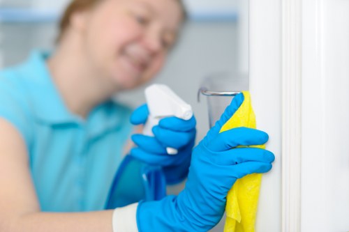Professional oven cleaning in an E1 kitchen