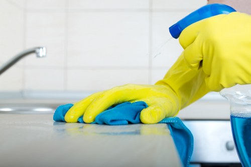 Cleaning treatment for a worn carpeted hallway