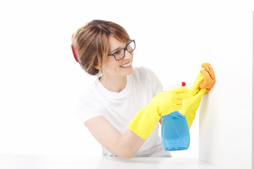 Oven cleaner in E1 cleaning racks and trays in a kitchen appliance