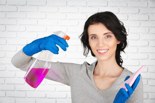 Local carpet care specialists treating stains and embedded dirt