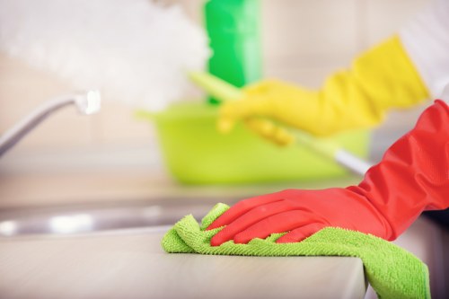 Eco-friendly cleaning solutions for E1 businesses
